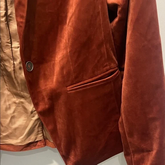 Elegant Velvet Women's Blazer in Rich Rust - Picture 5 of 11